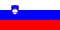Slovenski jezik